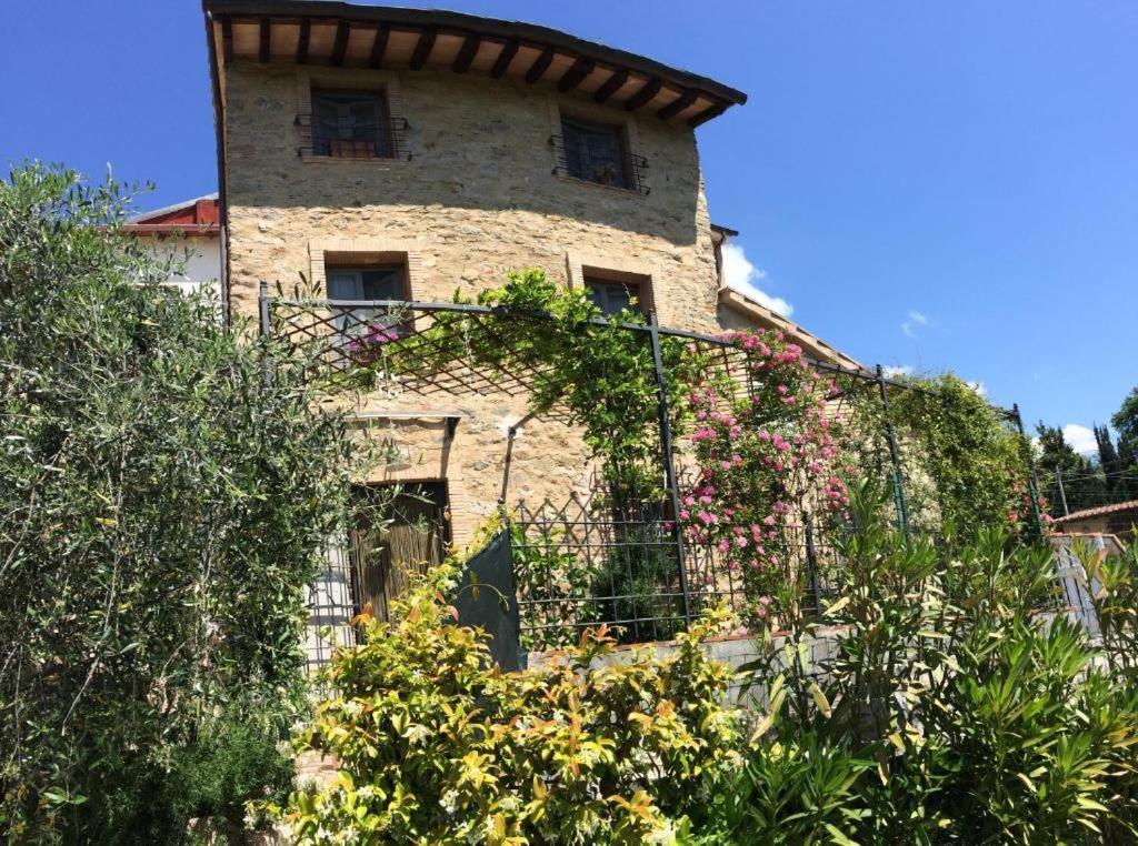 Pensjonat La Casina Delle Rondini Corsanico-Bargecchia Zewnętrze zdjęcie