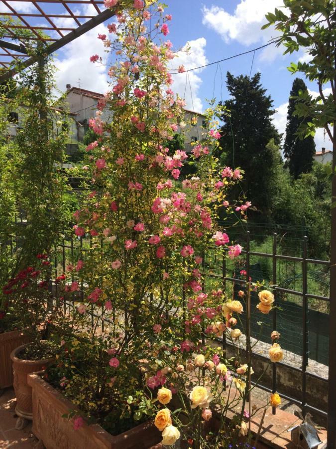 Pensjonat La Casina Delle Rondini Corsanico-Bargecchia Zewnętrze zdjęcie