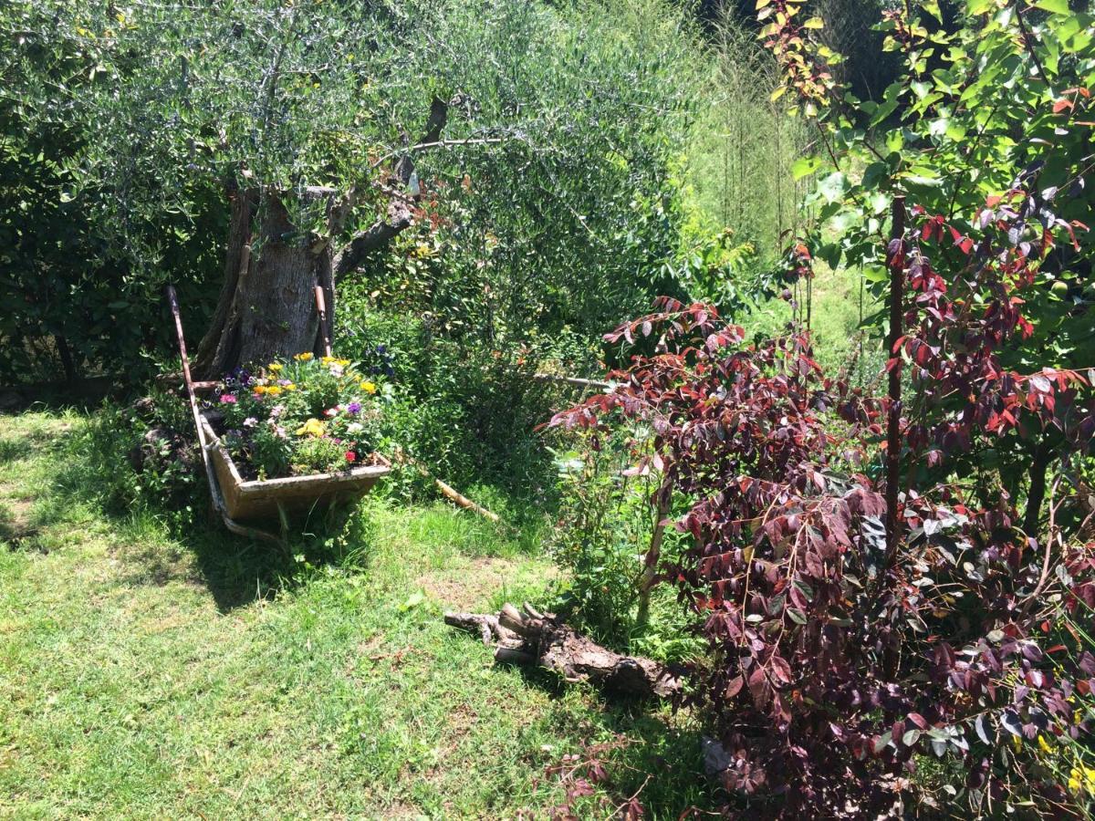 Pensjonat La Casina Delle Rondini Corsanico-Bargecchia Zewnętrze zdjęcie